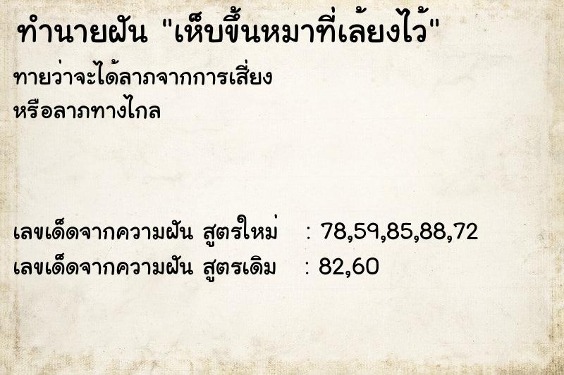 ทำนายฝันเห็บขึ้นหมาที่เล้ยงไว้ ทำนายฝันทำนายฝันเห็บขึ้นหมาที่เล้ยงไว้