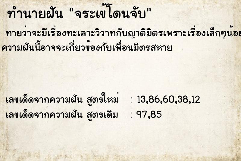 ทำนายฝันทำนายฝันจระเข้โดนจับ