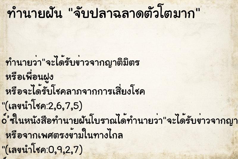 ทำนายฝัน จับปลาฉลาดตัวโตมาก