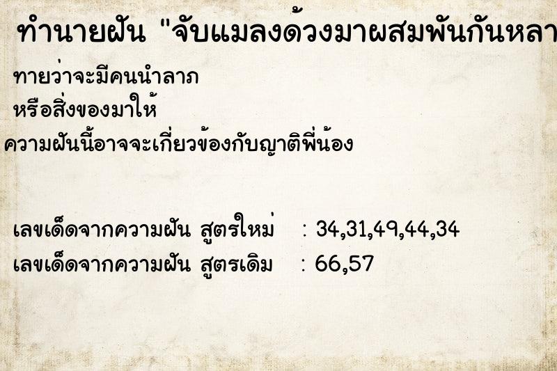 ทำนายฝันทำนายฝันจับแมลงด้วงมาผสมพันกันหลายตัว