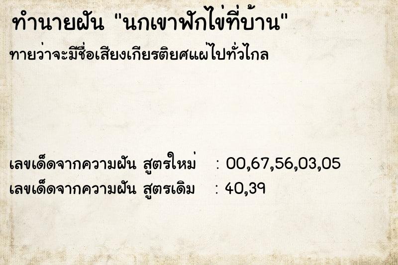 ทำนายฝัน นกเขาฟักไข่ที่บ้าน ทำนายฝัน นกเขาฟักไข่ที่บ้าน