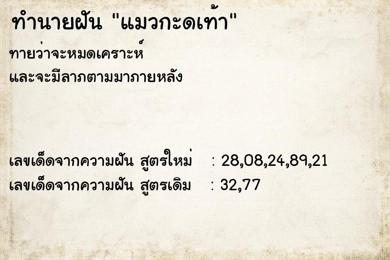 ทำนายฝันแมวกะดเท้า ทำนายฝันทำนายฝันแมวกะดเท้า