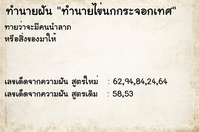 ทำนายฝันทำนายไข่นกกระจอกเทศ ทำนายฝันทำนายฝันทำนายไข่นกกระจอกเทศ