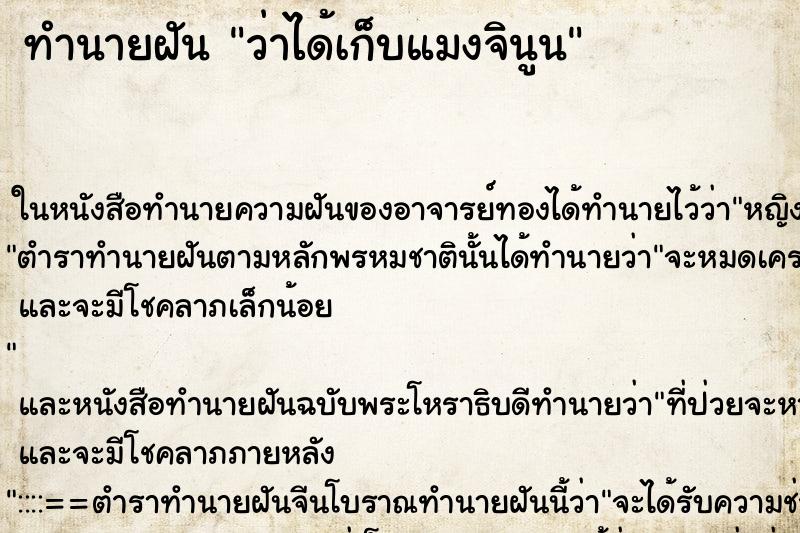 ทำนายฝัน ว่าได้เก็บแมงจินูน ทำนายฝัน ว่าได้เก็บแมงจินูน