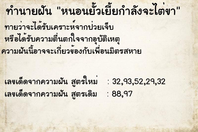 ทำนายฝันทำนายฝันหนอนยั้วเยี้ยกำลังจะไต่ขา