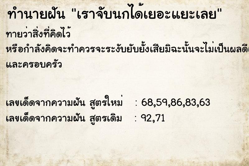 ทำนายฝันทำนายฝันเราจับนกได้เยอะแยะเลย