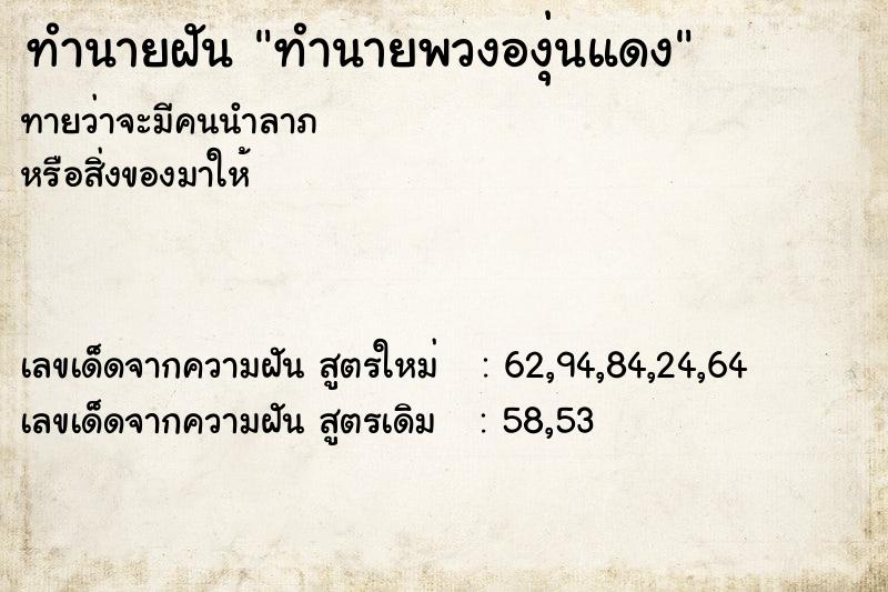 ทำนายฝันทำนายพวงองุ่นแดง ทำนายฝันทำนายฝันทำนายพวงองุ่นแดง