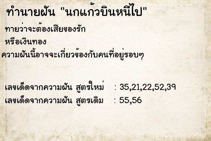 ทำนายฝันนกแก้วบินหนีไป ทำนายฝันทำนายฝันนกแก้วบินหนีไป