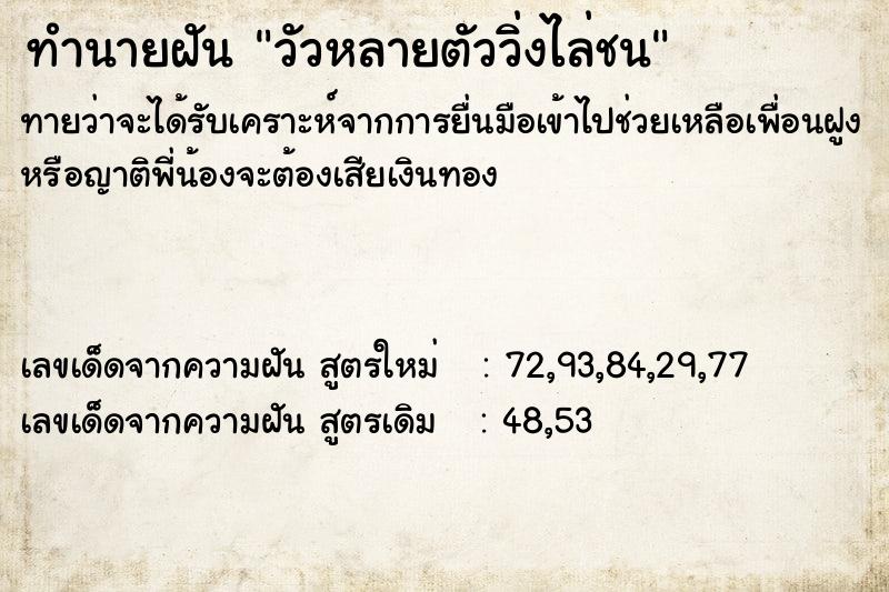 ทำนายฝันทำนายฝันวัวหลายตัววิ่งไล่ชน