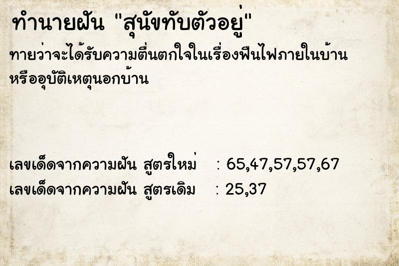 ทำนายฝันสุนัขทับตัวอยู่ ทำนายฝันทำนายฝันสุนัขทับตัวอยู่