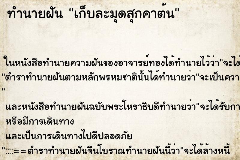 ทำนายฝัน เก็บละมุดสุกคาต้น ทำนายฝัน เก็บละมุดสุกคาต้น
