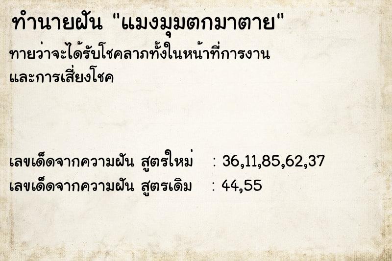 ทำนายฝันแมงมุมตกมาตาย ทำนายฝันทำนายฝันแมงมุมตกมาตาย