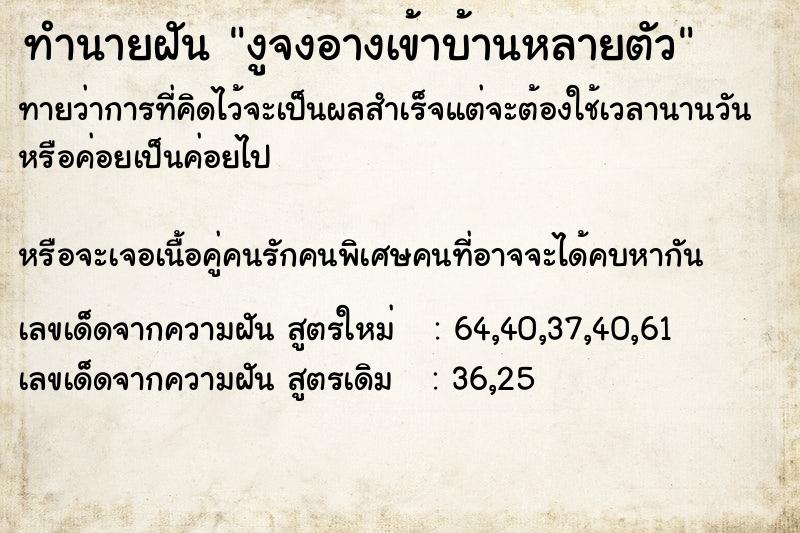 ทำนายฝันทำนายฝันงูจงอางเข้าบ้านหลายตัว