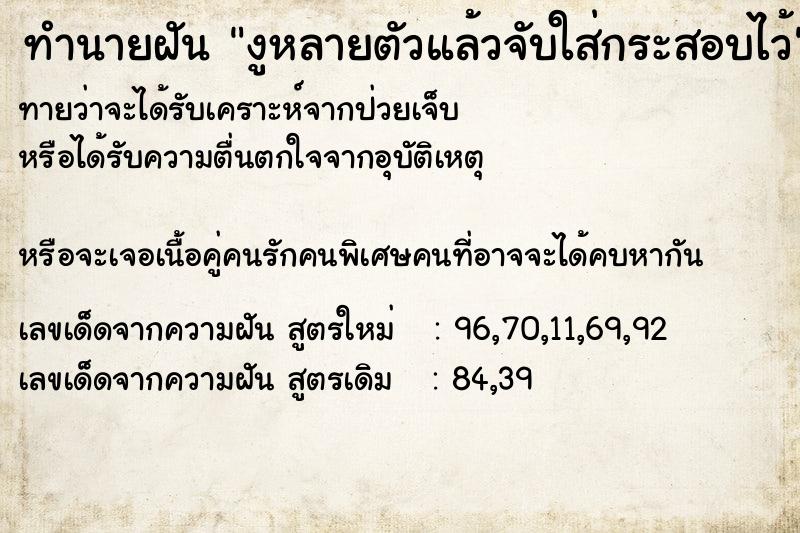 ทำนายฝันทำนายฝันงูหลายตัวแล้วจับใส่กระสอบไว้