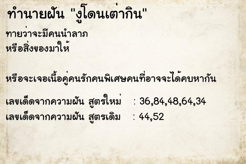 ทำนายฝันงูโดนเต่ากิน ทำนายฝันทำนายฝันงูโดนเต่ากิน