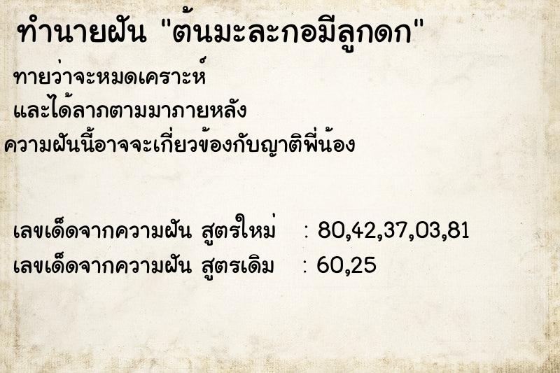 ทำนายฝันต้นมะละกอมีลูกดก ทำนายฝันทำนายฝันต้นมะละกอมีลูกดก