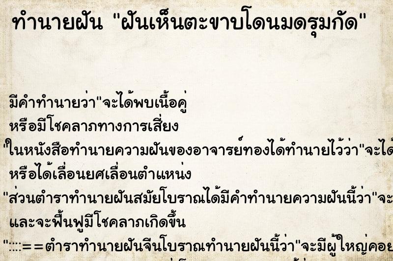 ทำนายฝันฝันเห็นตะขาบโดนมดรุมกัด ทำนายฝันทำนายฝันฝันเห็นตะขาบโดนมดรุมกัด