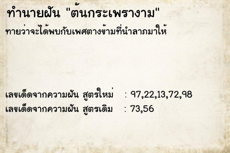 ทำนายฝัน ต้นกระเพรางาม ทำนายฝัน ต้นกระเพรางาม