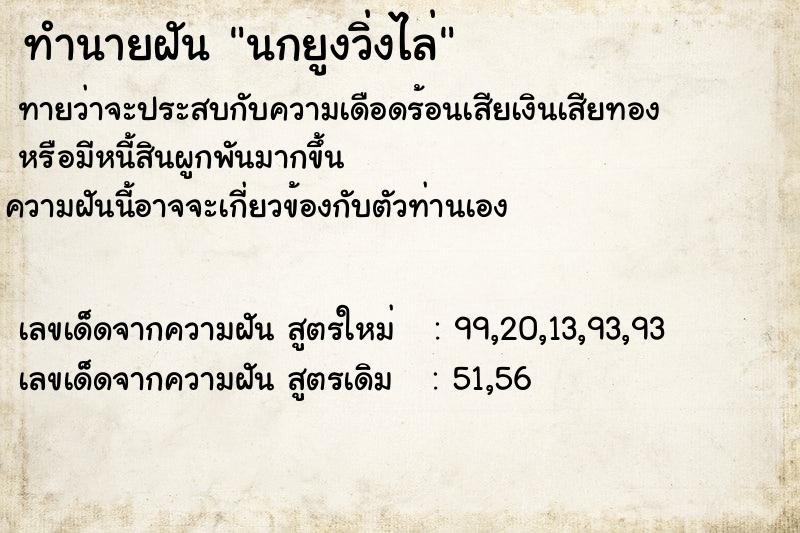 ทำนายฝันนกยูงวิ่งไล่ ทำนายฝันทำนายฝันนกยูงวิ่งไล่