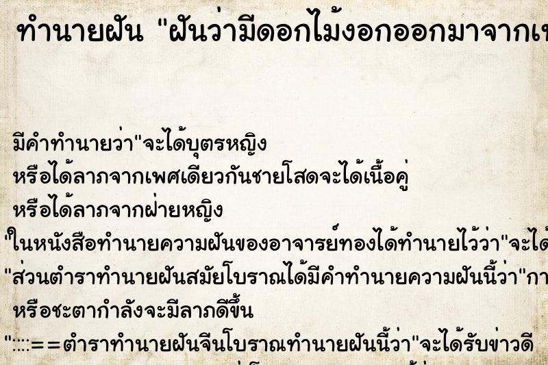 ทำนายฝัน ฝันว่ามีดอกไม้งอกออกมาจากเท้า ทำนายฝัน ฝันว่ามีดอกไม้งอกออกมาจากเท้า