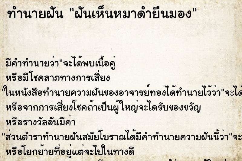 ทำนายฝัน ฝันเห็นหมาดำยืนมอง ทำนายฝัน ฝันเห็นหมาดำยืนมอง