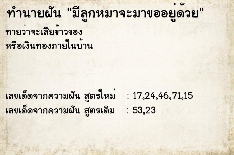 ทำนายฝัน มีลูกหมาจะมาขออยู่ด้วย ทำนายฝัน มีลูกหมาจะมาขออยู่ด้วย