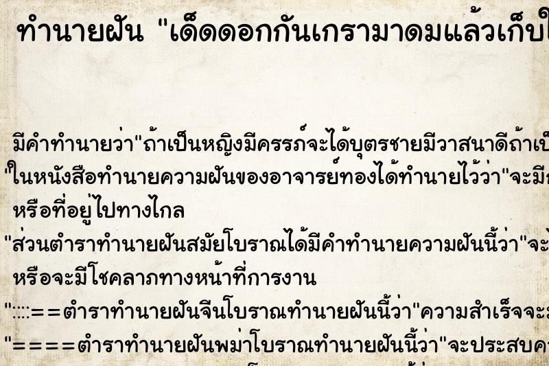 ทำนายฝันทำนายฝันเด็ดดอกกันเกรามาดมแล้วเก็บใส่กระเป๋าเสื้อไว้