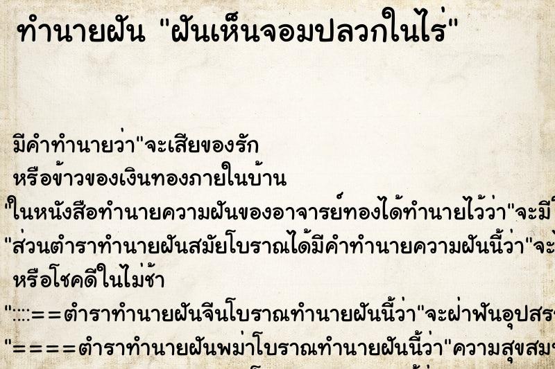 ทำนายฝันทำนายฝันฝันเห็นจอมปลวกในไร่