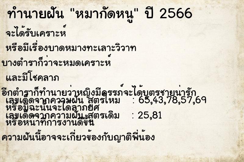 ทำนายฝันหมากัดหนู ทำนายฝันทำนายฝันหมากัดหนู