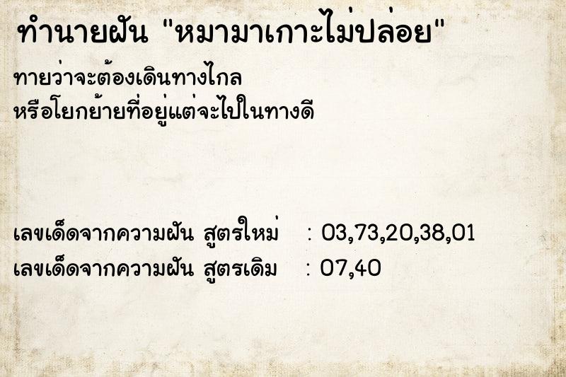 ทำนายฝันทำนายฝันหมามาเกาะไม่ปล่อย