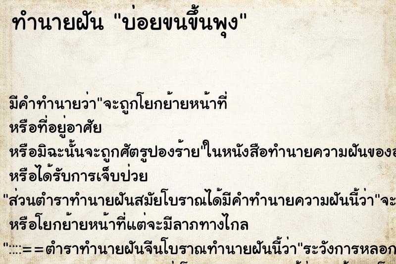 ทำนายฝัน บ่อยขนขึ้นพุง ทำนายฝัน บ่อยขนขึ้นพุง