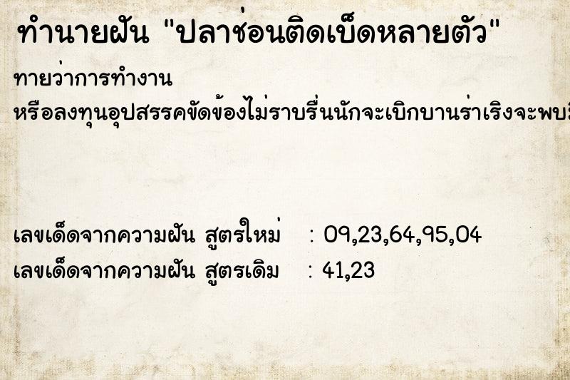 ทำนายฝันทำนายฝันปลาช่อนติดเบ็ดหลายตัว