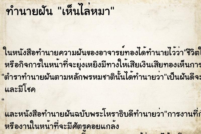 ทำนายฝันเห็นไล่หมา ทำนายฝันทำนายฝันเห็นไล่หมา