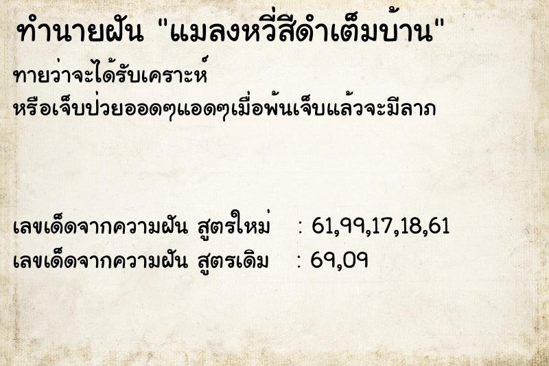 ทำนายฝันแมลงหวี่สีดำเต็มบ้าน ทำนายฝันทำนายฝันแมลงหวี่สีดำเต็มบ้าน