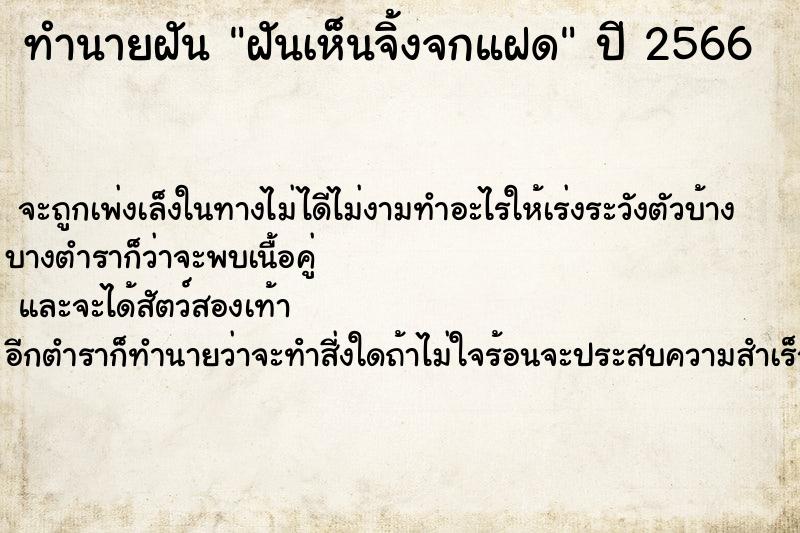 ทำนายฝันฝันเห็นจิ้งจกแฝด ทำนายฝันทำนายฝันฝันเห็นจิ้งจกแฝด