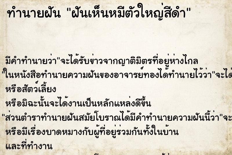 ทำนายฝัน ฝันเห็นหมีตัวใหญ่สีดำ ทำนายฝัน ฝันเห็นหมีตัวใหญ่สีดำ
