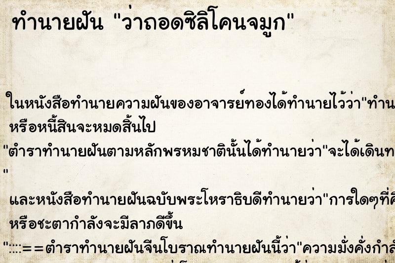 ทำนายฝัน ว่าถอดซิลิโคนจมูก ทำนายฝัน ว่าถอดซิลิโคนจมูก