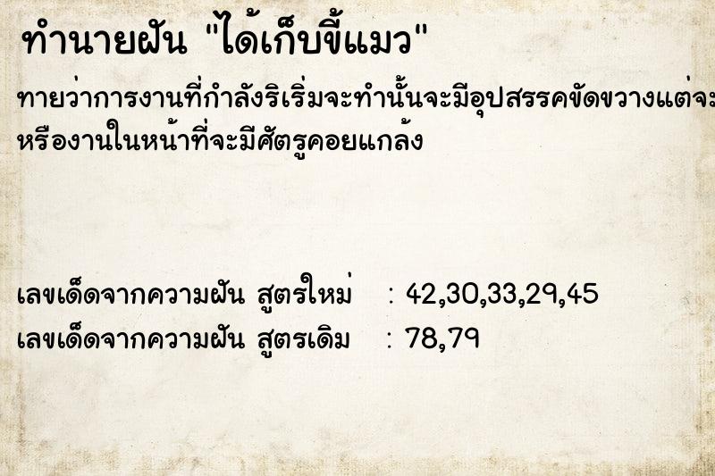ทำนายฝัน ได้เก็บขี้แมว ทำนายฝัน ได้เก็บขี้แมว