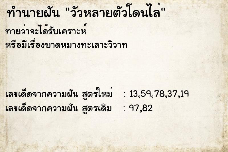 ทำนายฝันทำนายฝันวัวหลายตัวโดนไล่