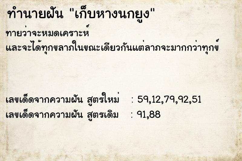ทำนายฝัน เก็บหางนกยูง ทำนายฝัน เก็บหางนกยูง