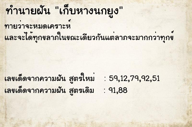 ทำนายฝัน เก็บหางนกยูง ตำราโบราณ แม่นที่สุดในโลก