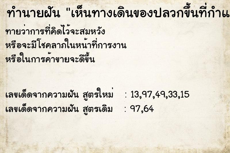 ทำนายฝันทำนายฝันเห็นทางเดินของปลวกขึ้นที่กำแพงบ้าน