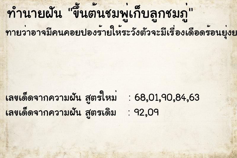 ทำนายฝันทำนายฝันขึ้นต้นชมพู่เก็บลูกชมภู่