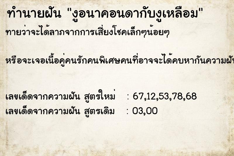 ทำนายฝัน งูอนาคอนดากับงูเหลือม ทำนายฝัน งูอนาคอนดากับงูเหลือม