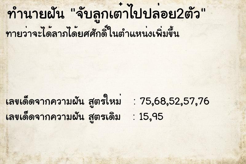 ทำนายฝันจับลูกเต๋าไปปล่อย2ตัว ทำนายฝันทำนายฝันจับลูกเต๋าไปปล่อย2ตัว