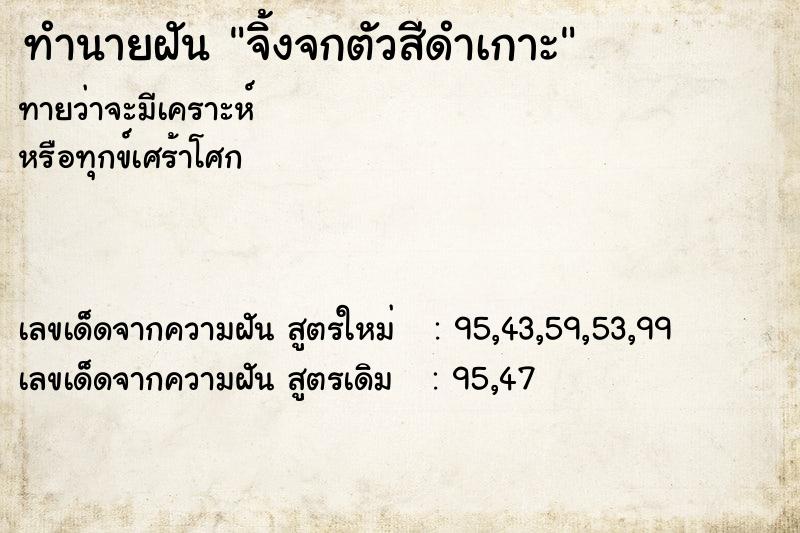 ทำนายฝันจิ้งจกตัวสีดำเกาะ ทำนายฝันทำนายฝันจิ้งจกตัวสีดำเกาะ