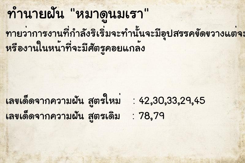 ทำนายฝัน หมาดูนมเรา ตำราโบราณ แม่นที่สุดในโลก