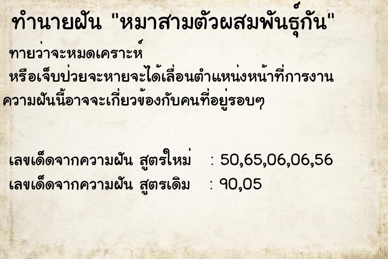 ทำนายฝันทำนายฝันหมาสามตัวผสมพันธุ์กัน