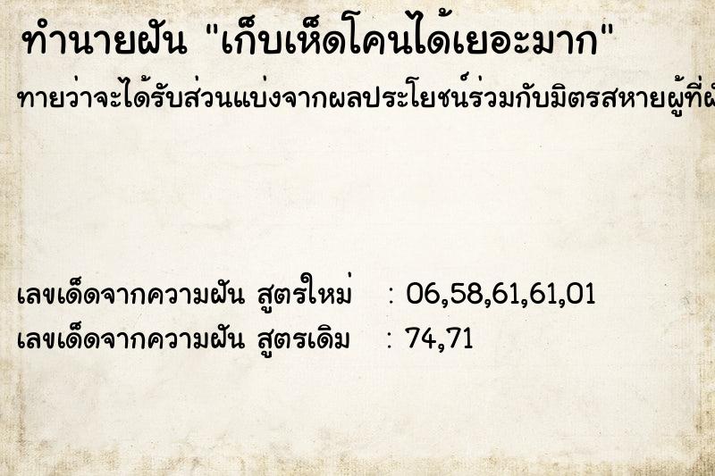 ทำนายฝัน เก็บเห็ดโคนได้เยอะมาก ทำนายฝัน เก็บเห็ดโคนได้เยอะมาก