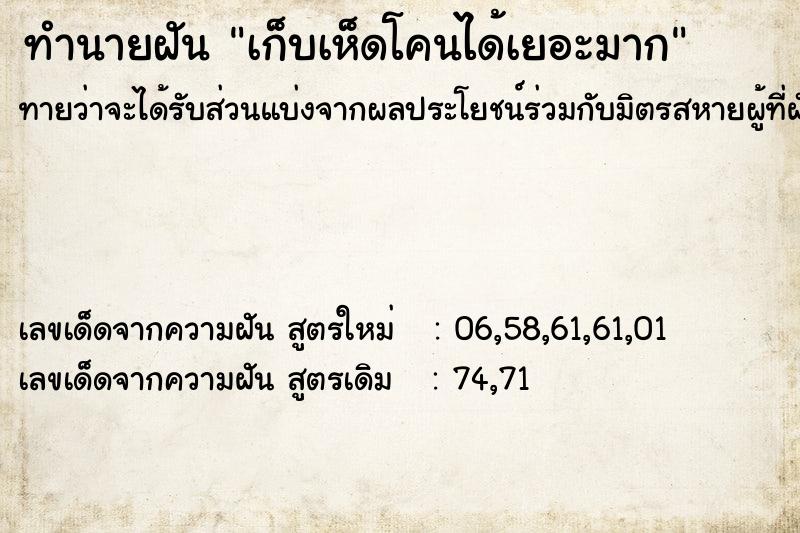 ทำนายฝัน เก็บเห็ดโคนได้เยอะมาก ตำราโบราณ แม่นที่สุดในโลก